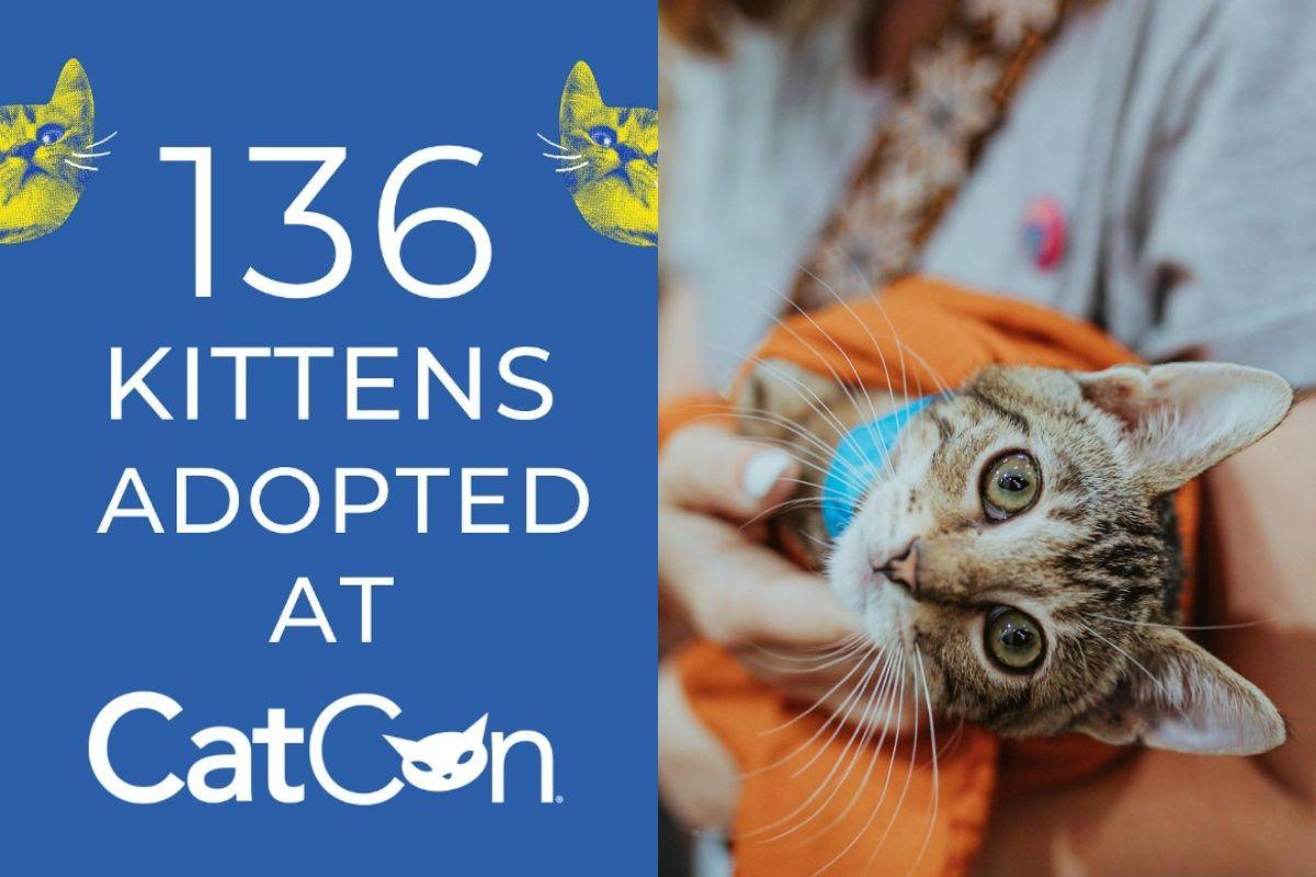 CatCon 2022