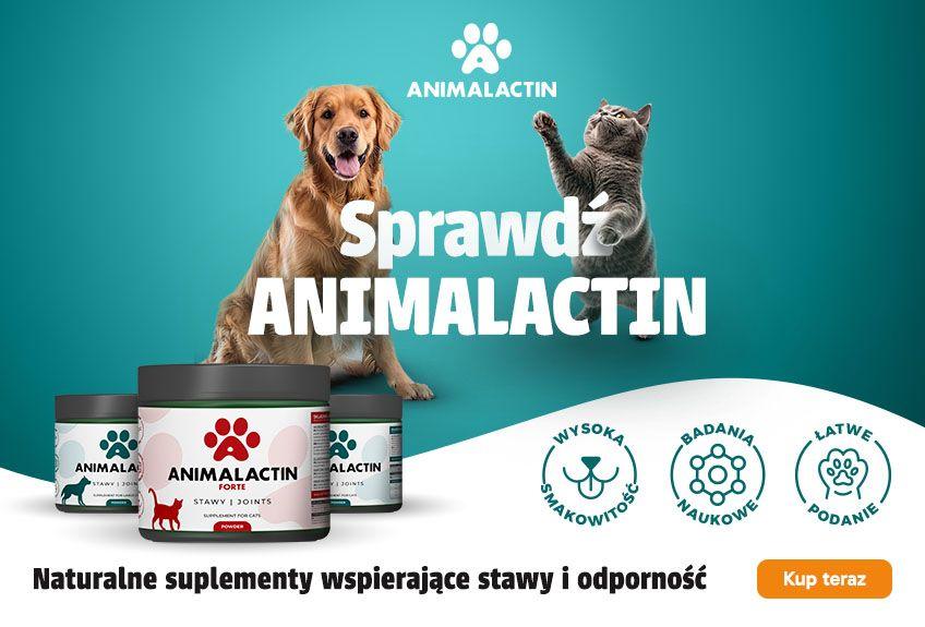 animalactin.jpg