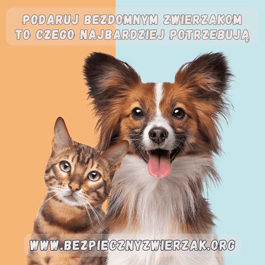 akcja bezpieczny zwierzak
