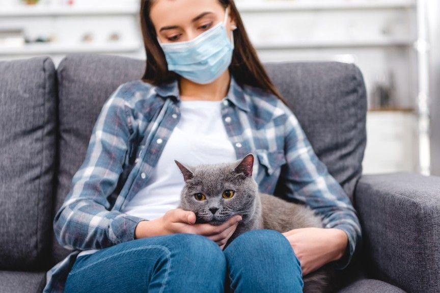 koty hipoalergiczne
