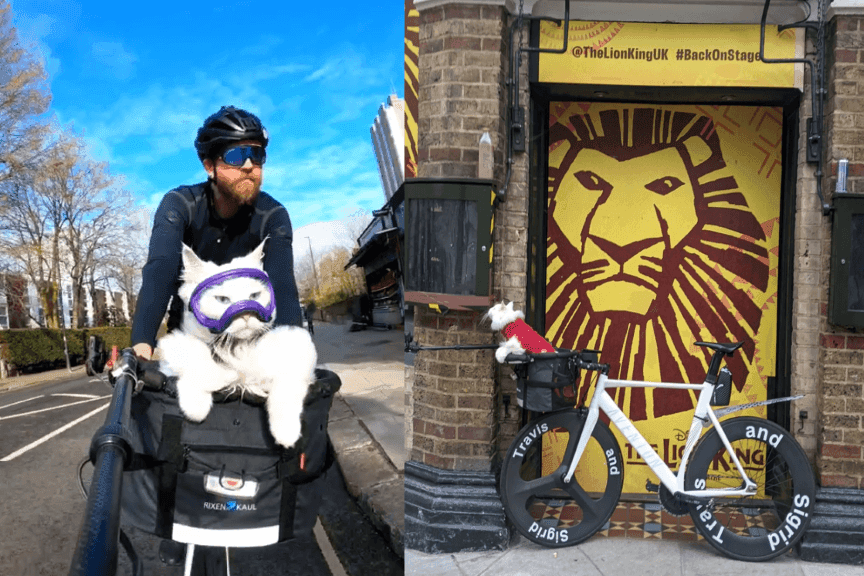 kot-rower-londyn.png