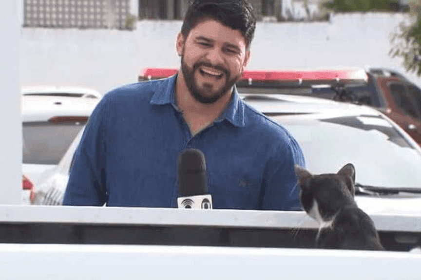kot zaczepia reportera na wizji
