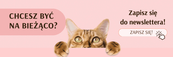 banner koty - newsletter