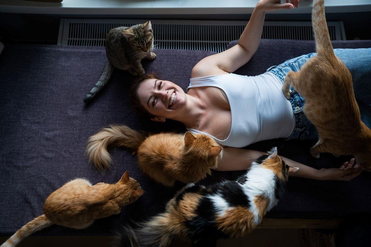 purina 6 zobowiązań koty