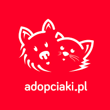 Adopciaki.pl