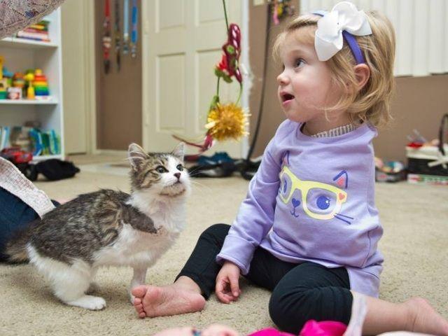 niepełnosprawna dziewczynka i kot