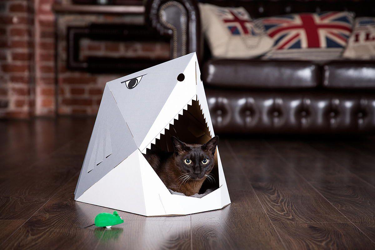 kartonowy domek dla kota rekin catlando