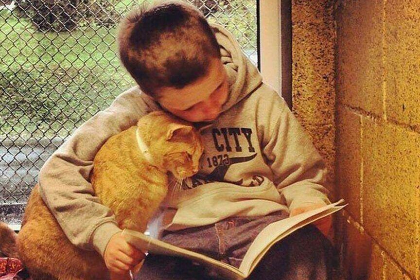 chłopiec czyta książkę kotu