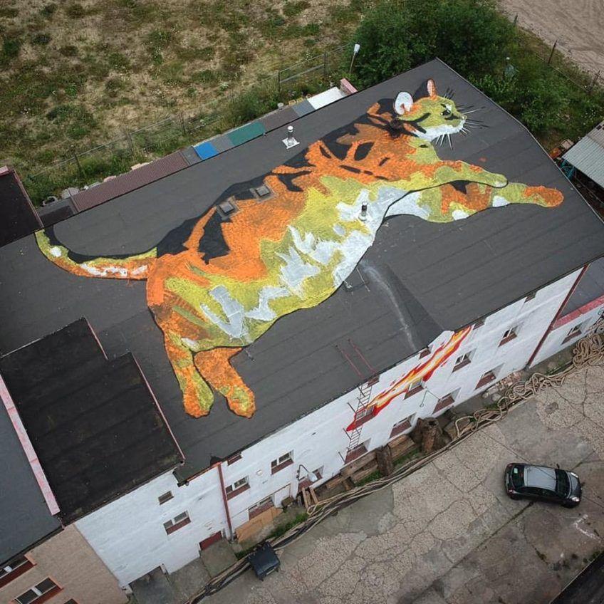Mural. Kot na dachu
