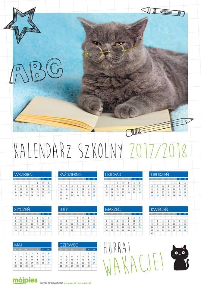 Kalendarz ścienny z kotem