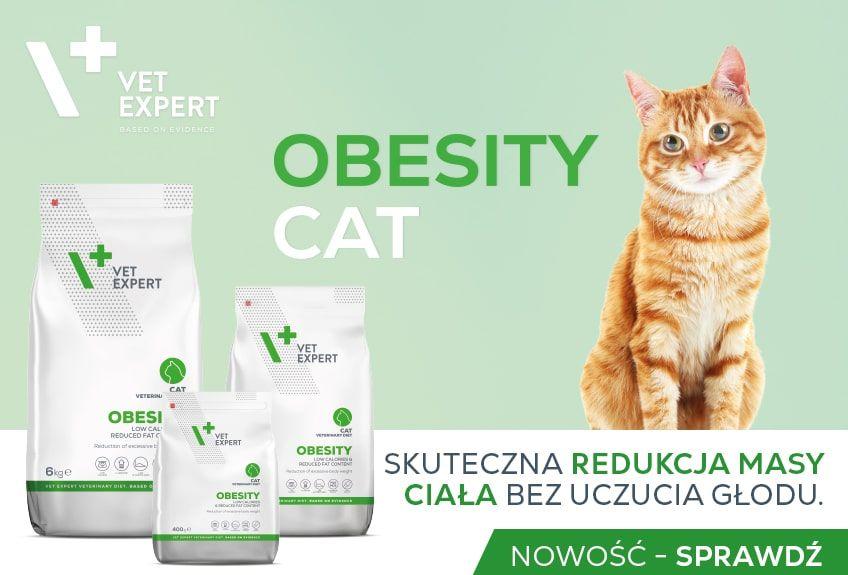 VE Obesity Cat