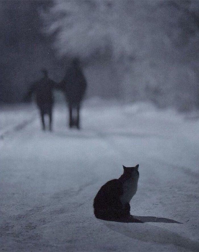 ludzie i kot zimą