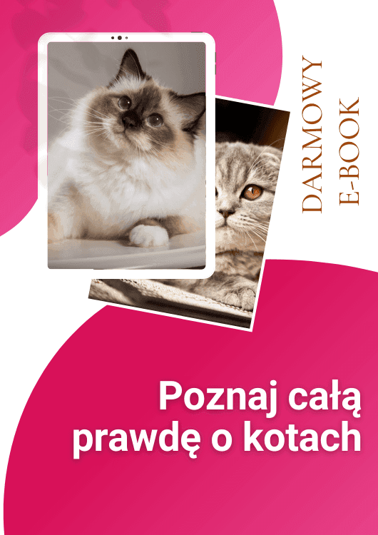 Koty i Psy - E-booki (1).png