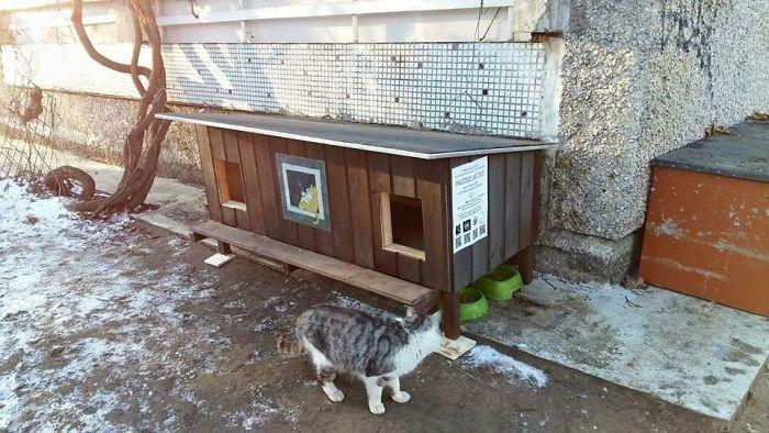 drewniany domek dla kotów