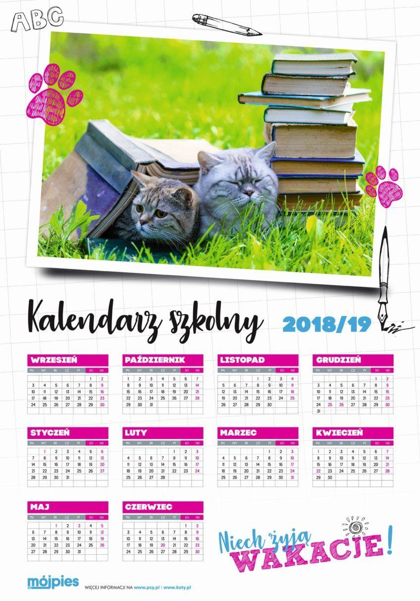 kalendarz koty