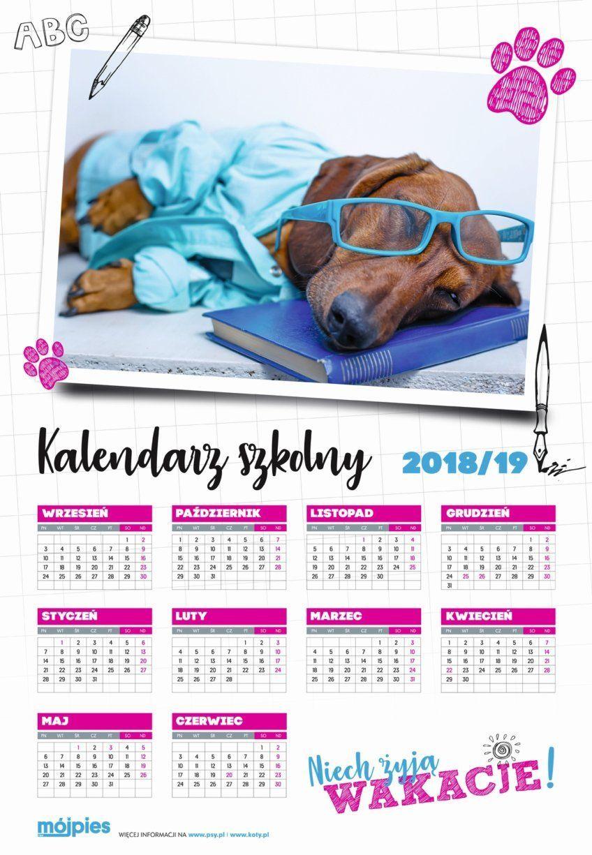 kalendarz psy