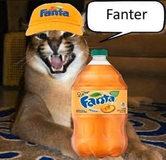 Fanta Fanter 100% Fanta PEACH Bottle Liquid Orange drink Fluid Ingredient Carnivore Orange soft drink Drink Juice Plastic bottle