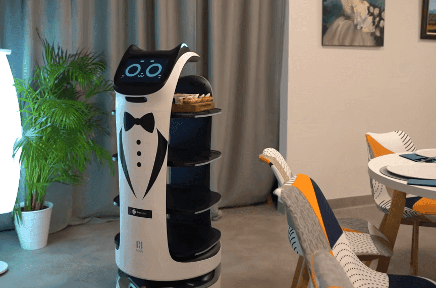 bellabot kot-robot obsługujący gości restauracji
