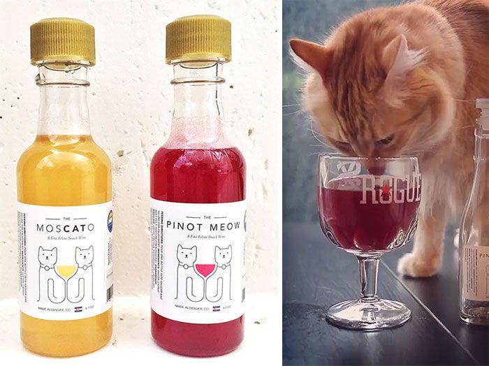 catnip-wine-for-cats-apollo-peak-coverimage.jpg