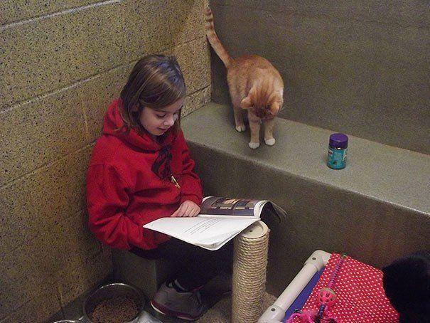 dziewczynka i kot w schronisku