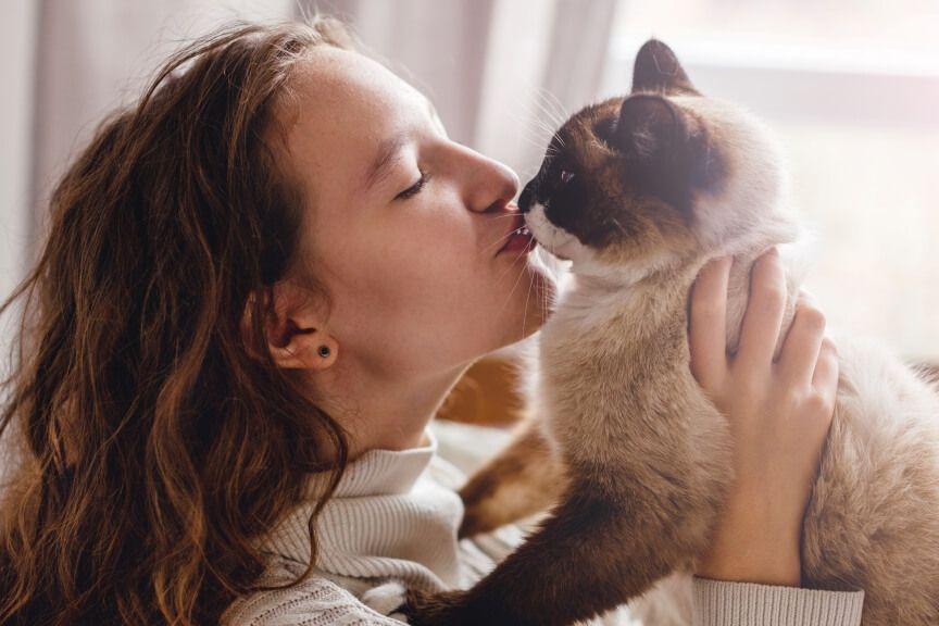 czy całowanie kota jest bezpieczne dawanie buziaków