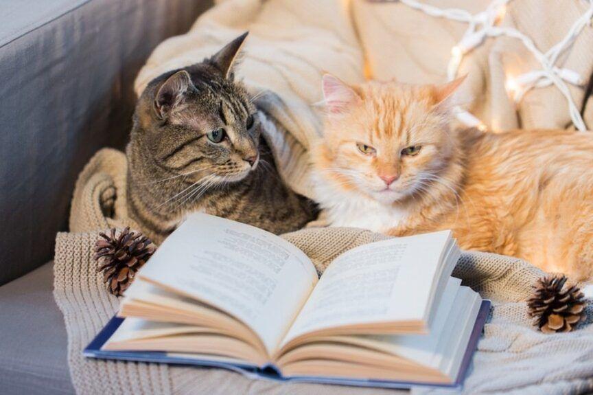 książki o kotach