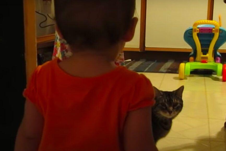 dziewczynka rozmawia z kotem