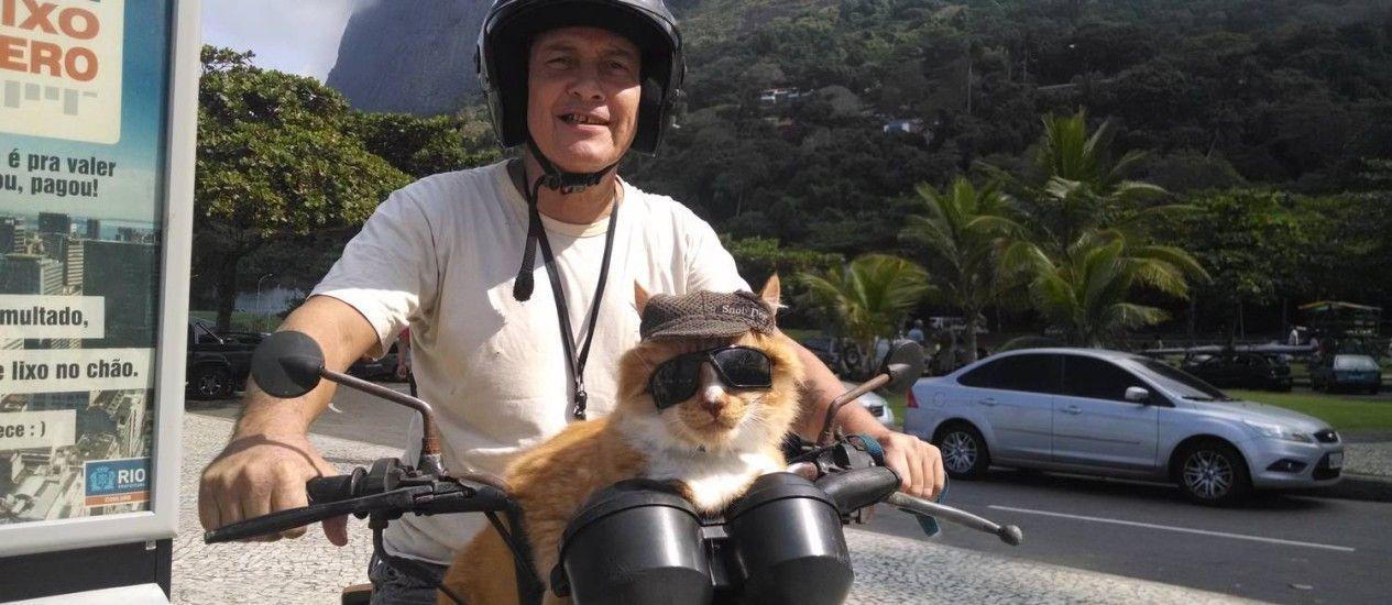 brazylijski Garfield kot na motorze