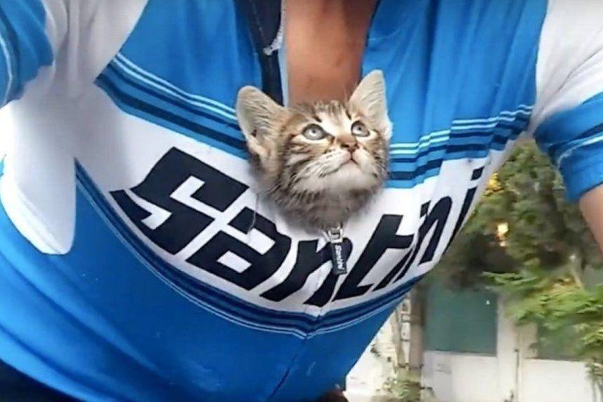 kotka została uratowana przez rowerzystę