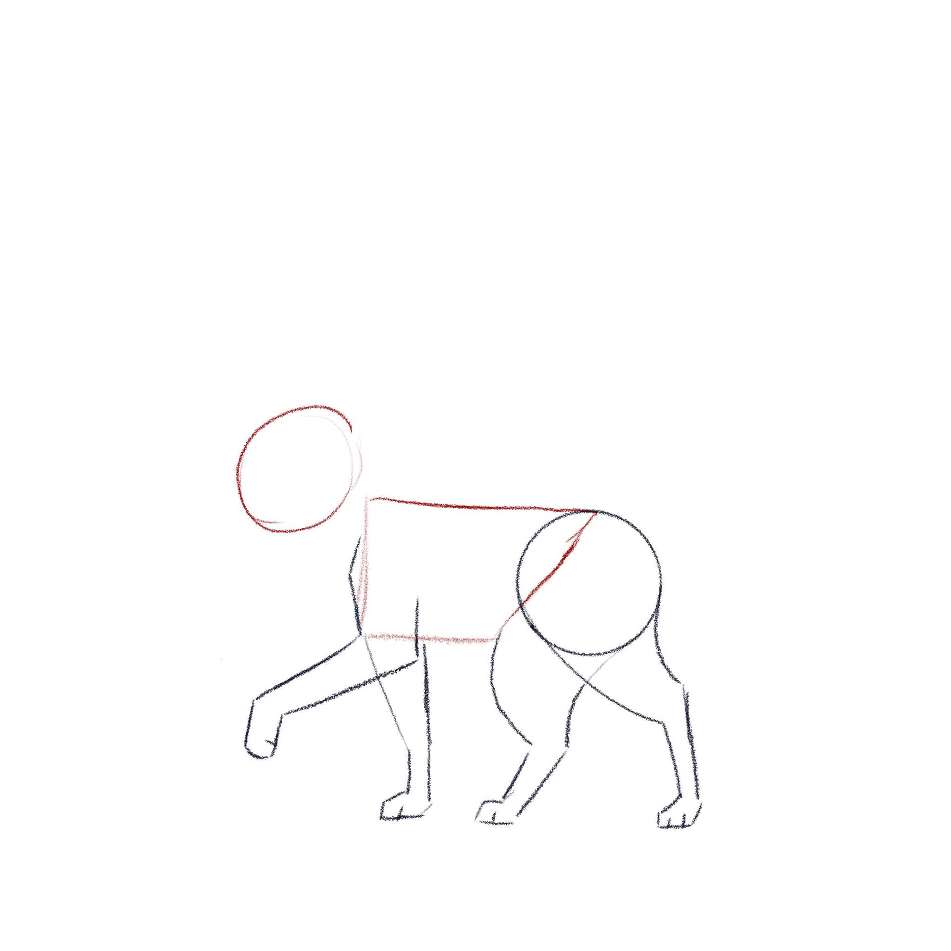 jak narysować kota - krok 3
