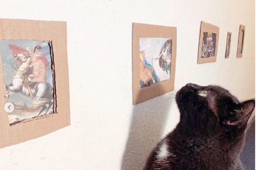 Koty na obrazach przykuły uwagę Richarda
