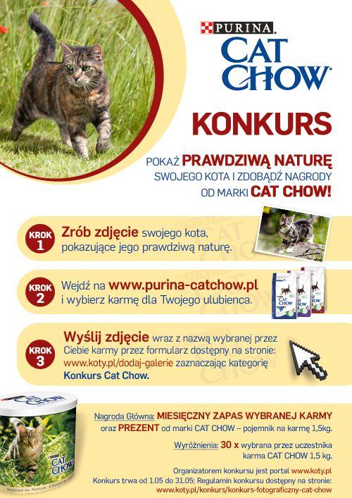 konkurs_cat-chow_plakat_500x900.jpg