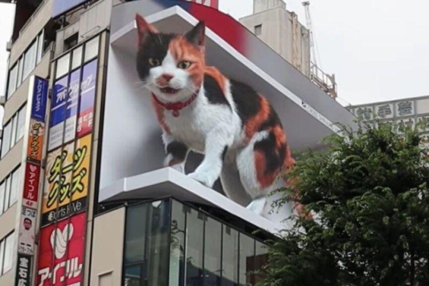 billboard w Tokio - kot 3d
