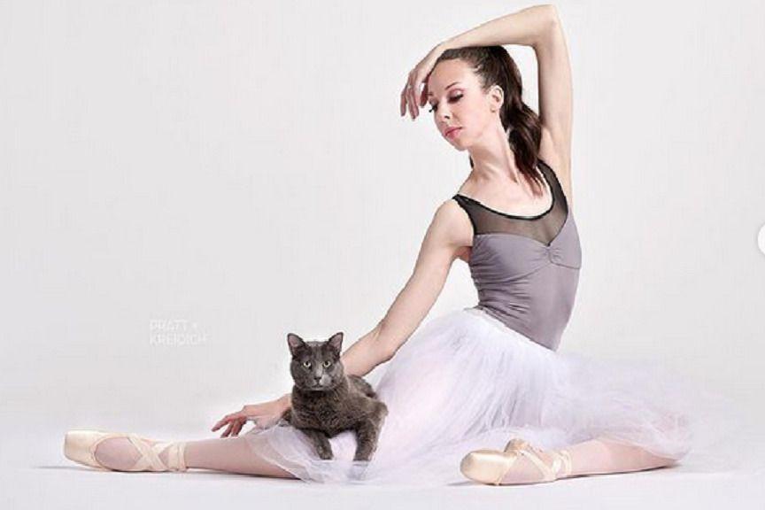 Koty pozują z baletnicami, żeby znaleźć nowy dom, czyli o niezwykłej akcji Saint Louis Ballet, która od trzech lat zachwyca cały świat!
