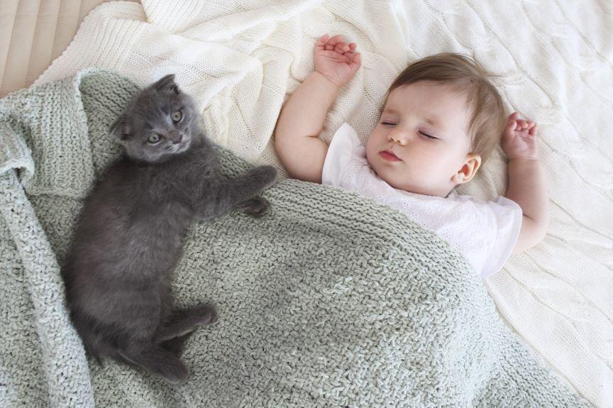 kot w łóżeczku z dzieckiem