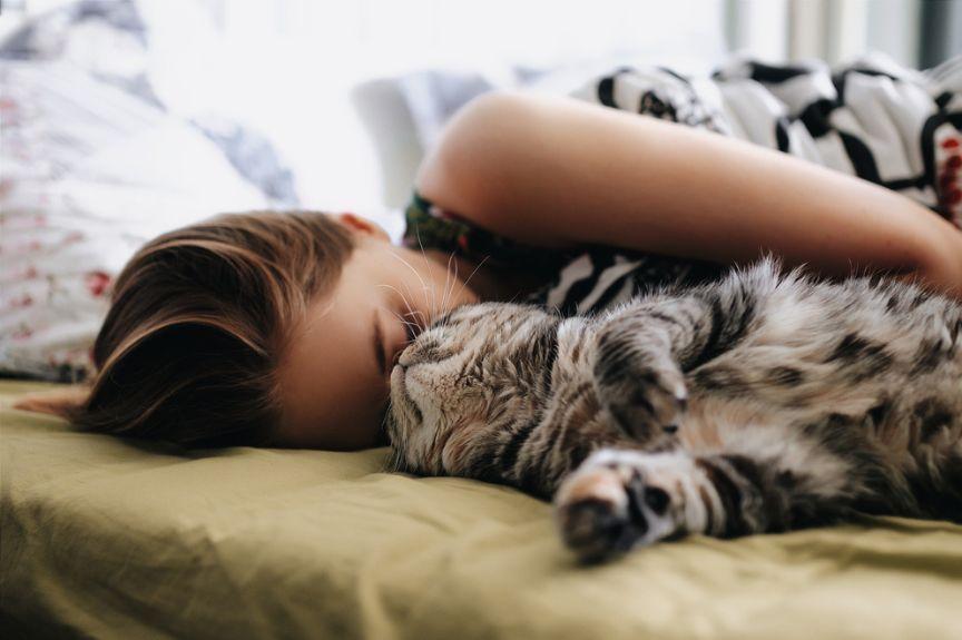 jak koty wybierają z kim spać