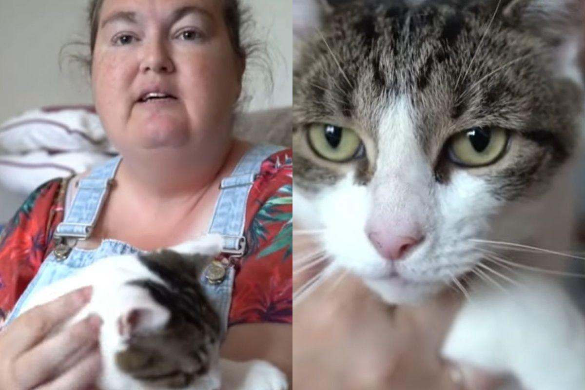 kot uratował kobietę podczas ataku serca