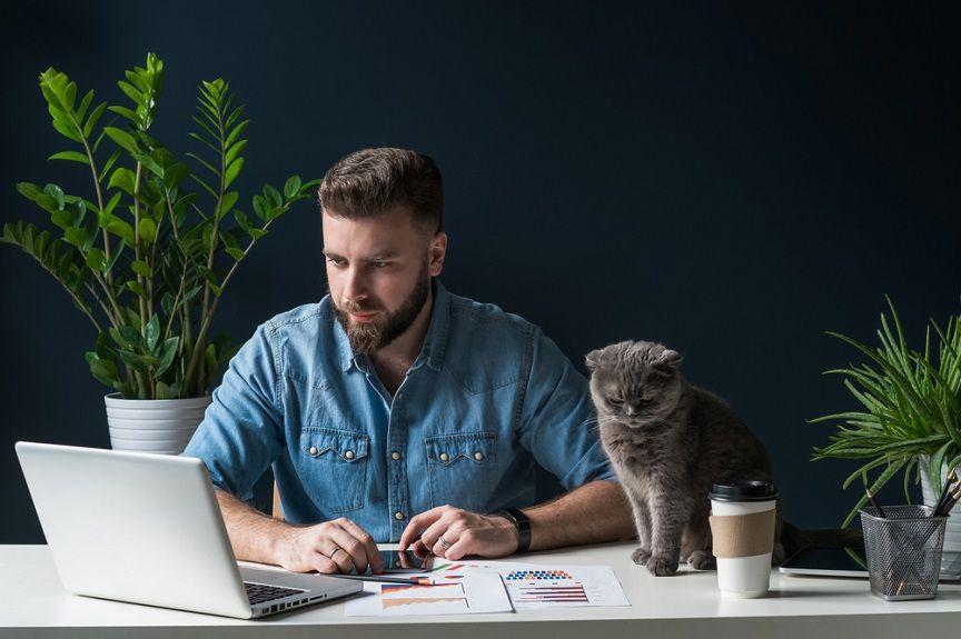 Home office z kotem brzmi jak spełnienie marzeń, prawda? Do czasu, gdy kiciuś nie postanowi dumnie przejść się po klawiaturze...