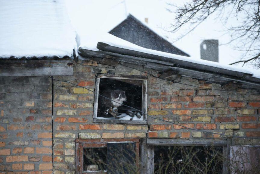 domki dla kotów ze zużytych mebli