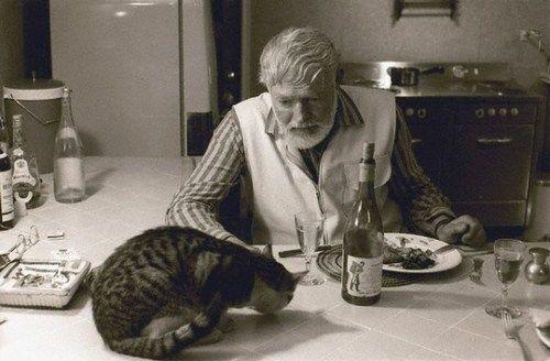 Ernest Hemingway i kot