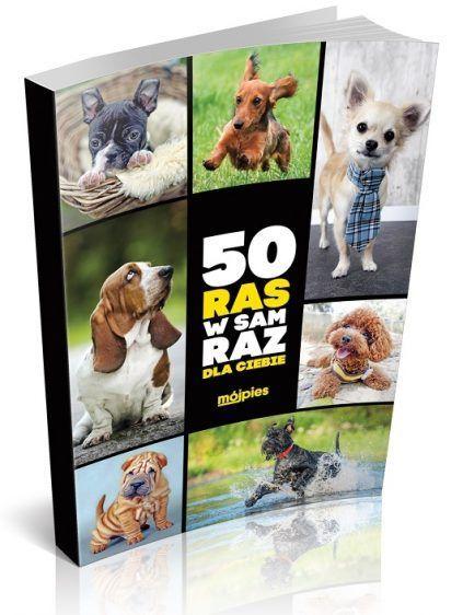 książeczka z rasami psów