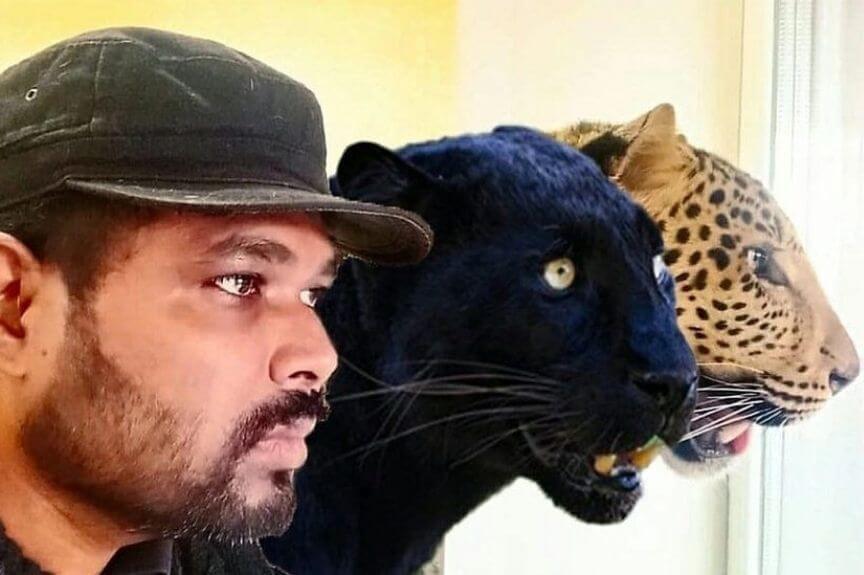 Girikumar Patil - indyjski lekarz chowa się z jaguarem i panterą w piwnicy