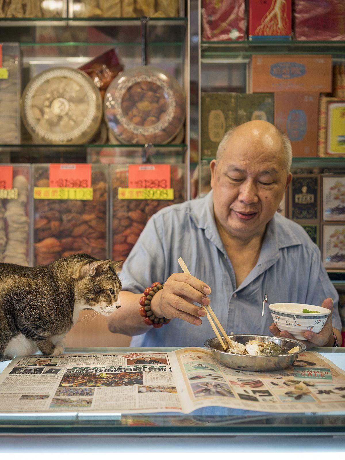kot przy posiłku w sklepie w Hong Kongu