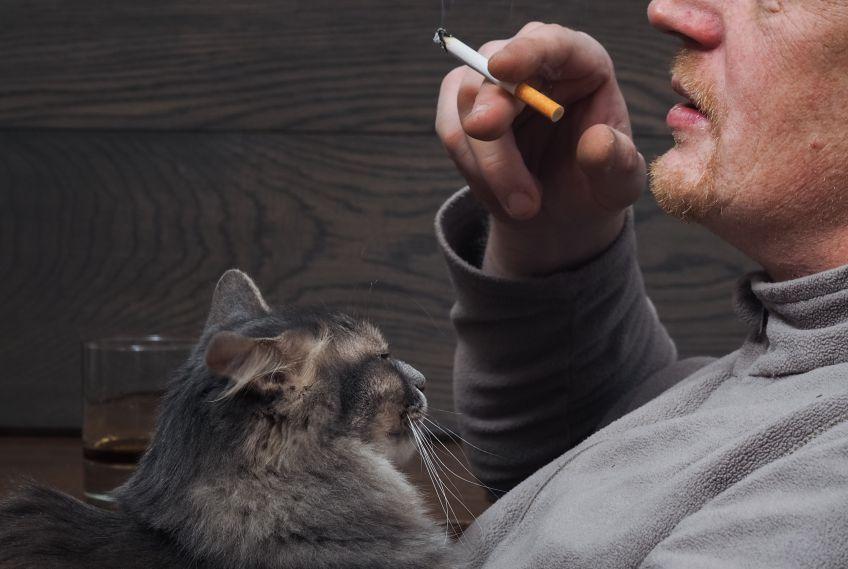 palenie papierosów a kot