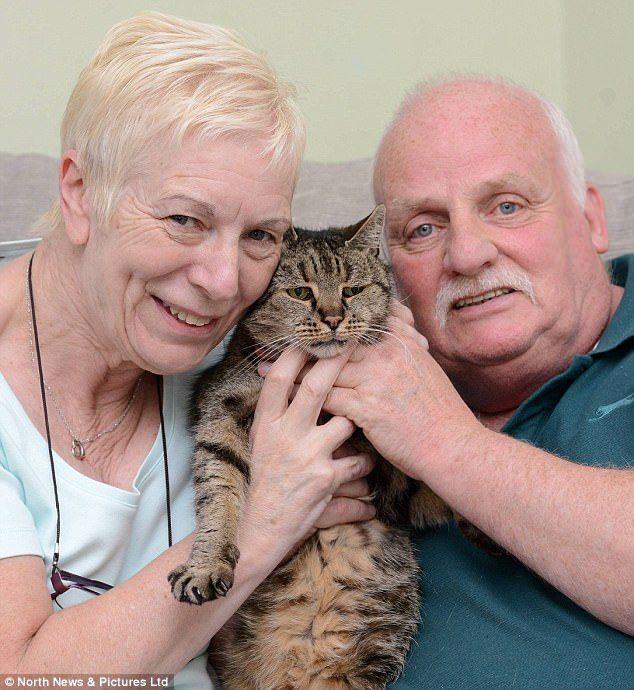 Nutmeg najstarszy kot świata z opiekunami