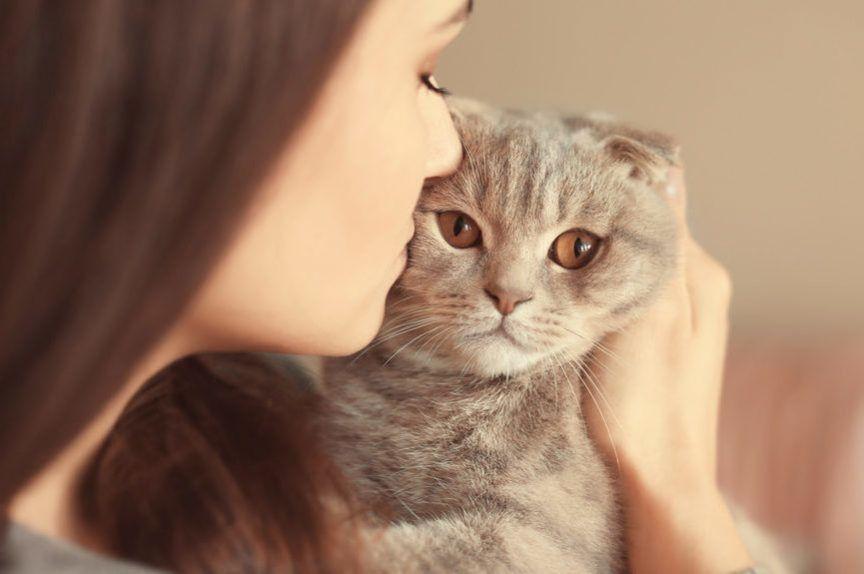 kobiety kochają koty