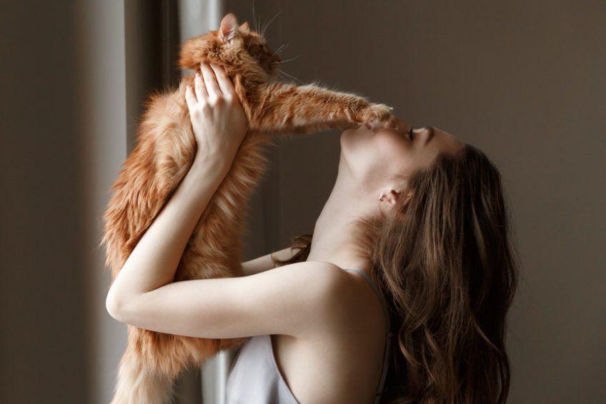 Dlaczego koty nie lubią być brane na ręce
