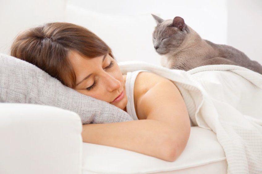kot śpi z człowiekiem