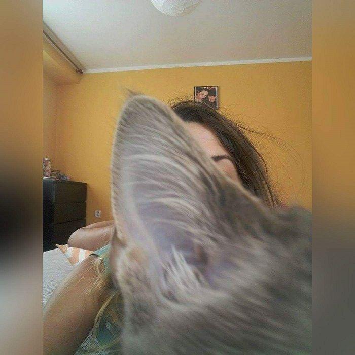 selfie z kotem