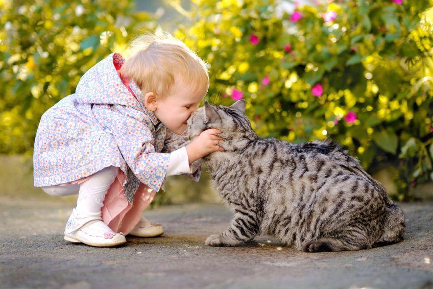 Dziecko całuje kota
